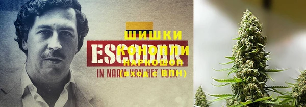 дурь Балахна