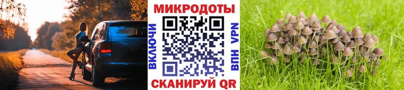Галлюциногенные грибы Psilocybine cubensis  Пересвет 